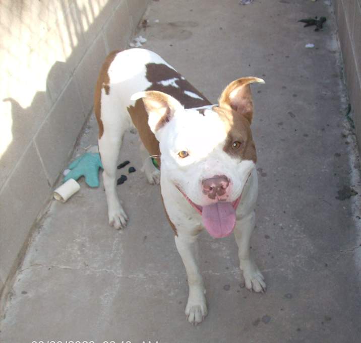 Photo of RASCAL