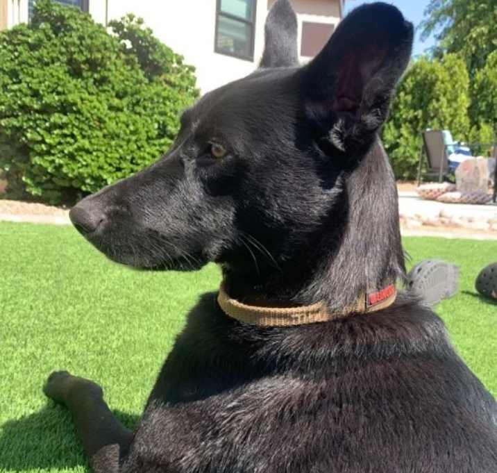 Photo of Jinx