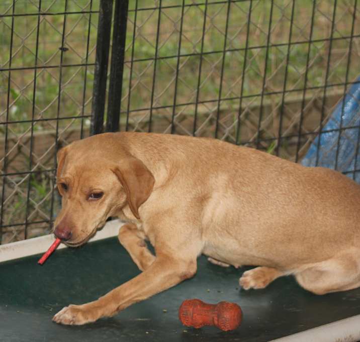 Photo of Tilly