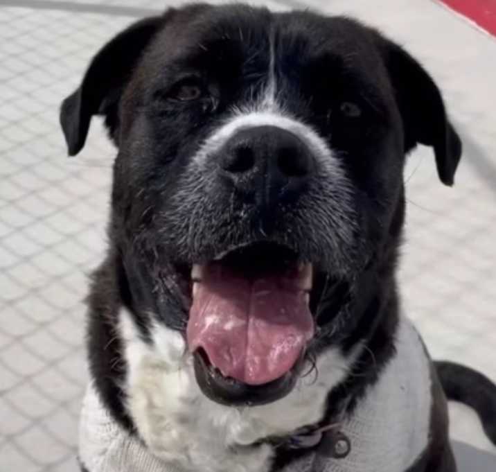 Photo of shadow