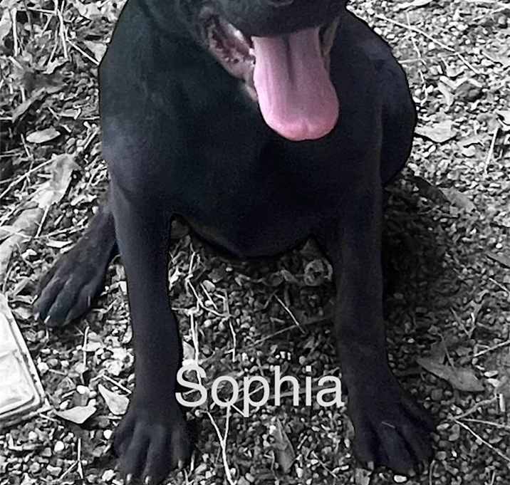 Photo of Sophia
