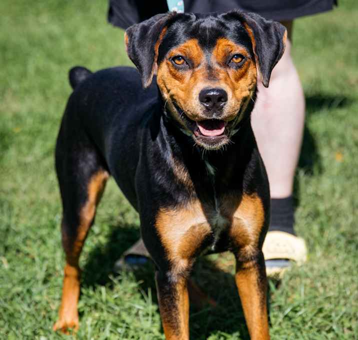 Photo of Fraulein