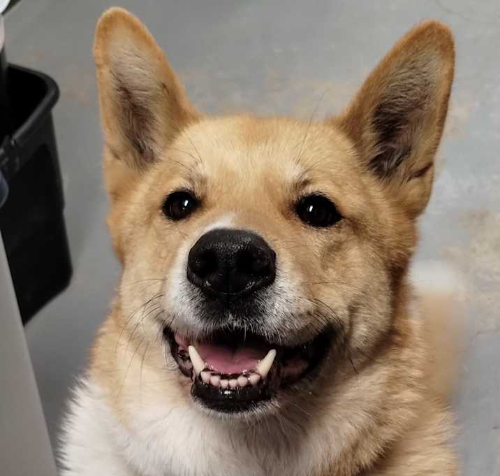 Photo of Xena