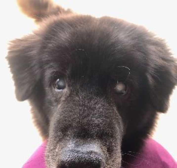 Photo of Kristoff (FL)