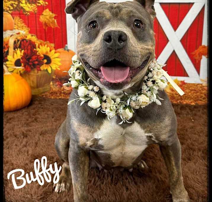 Photo of Buffy