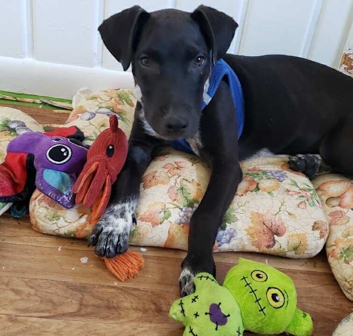 Photo of Eddie