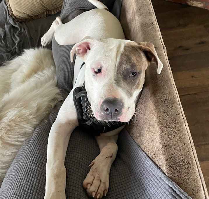 Photo of Hercules