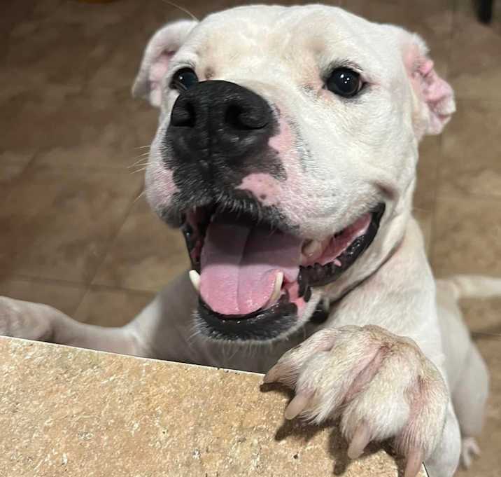 Photo of Charley