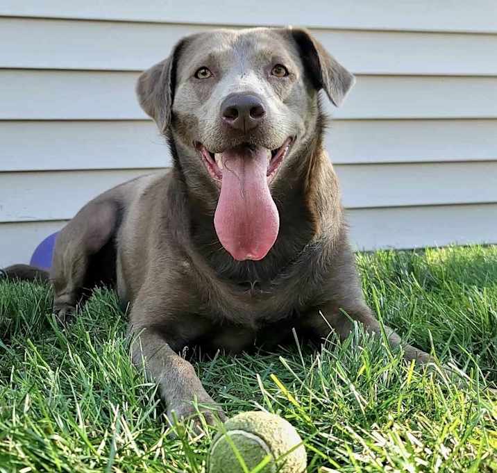 Photo of Luna