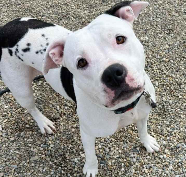 Photo of Ruby (Miss Wiggles)