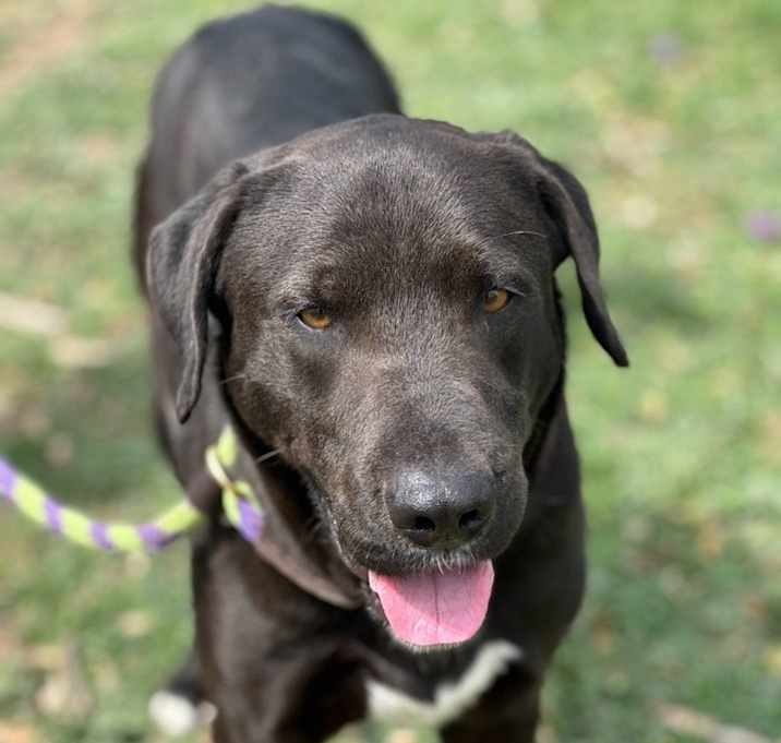 Photo of Levi