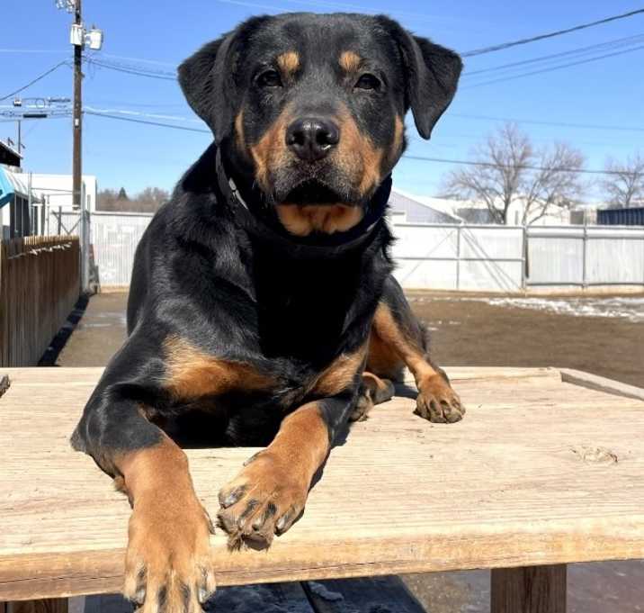 Photo of Mollie