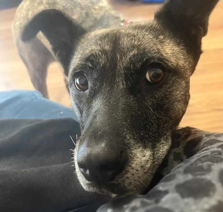 Photo of Athena