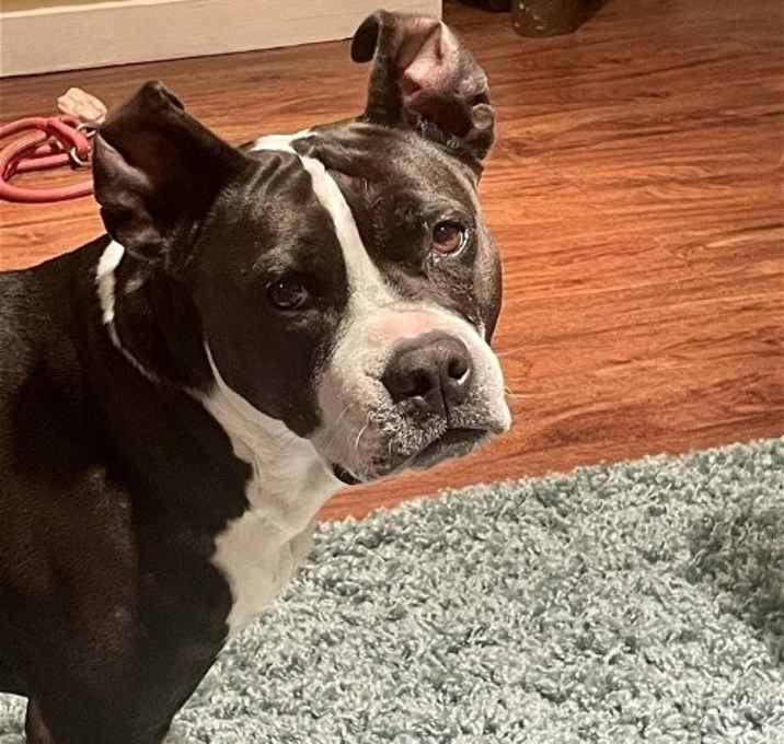 Photo of Dottie