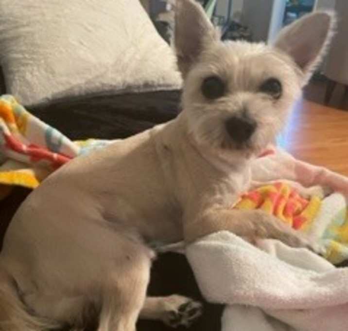Photo of Remy