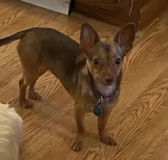 Photo of Sophia/Skeeter