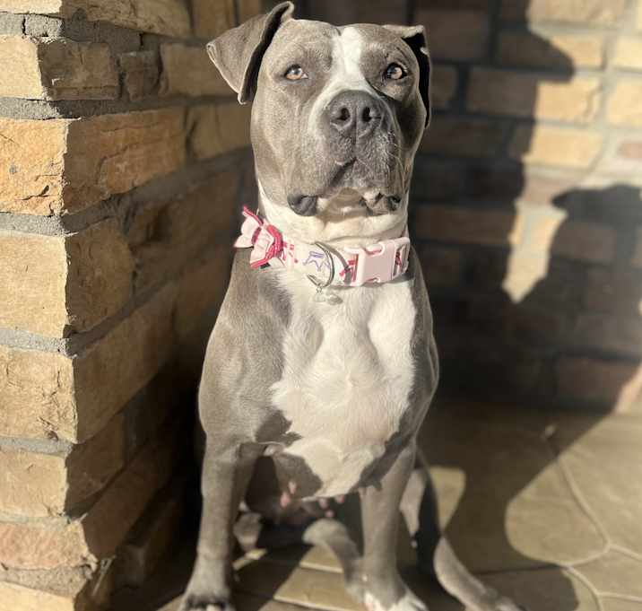 Photo of Ava