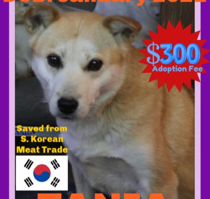 Photo of TANIA - $300