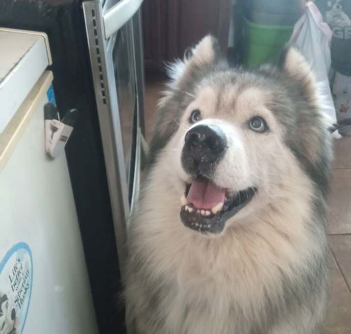 Photo of Oso