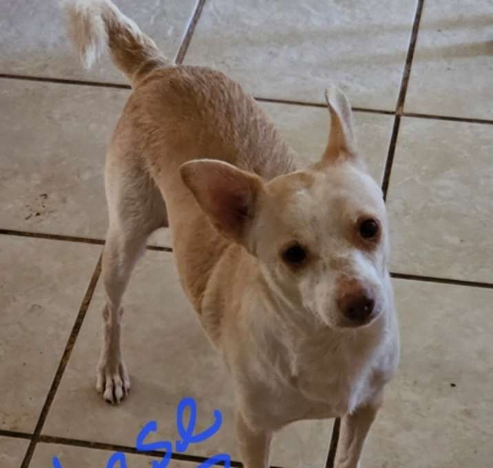 Photo of Chase