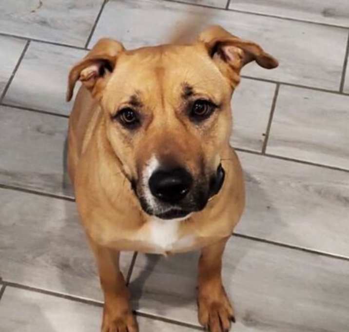 Photo of Luna