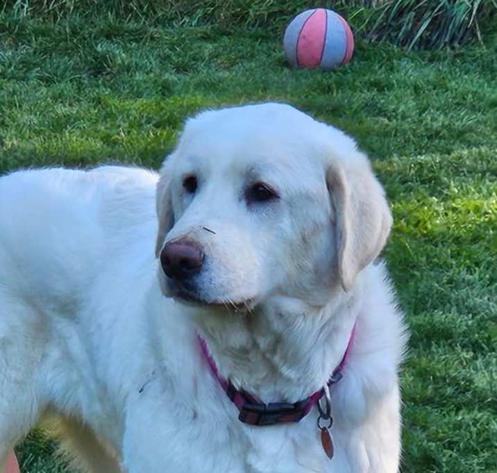 Photo of Della
