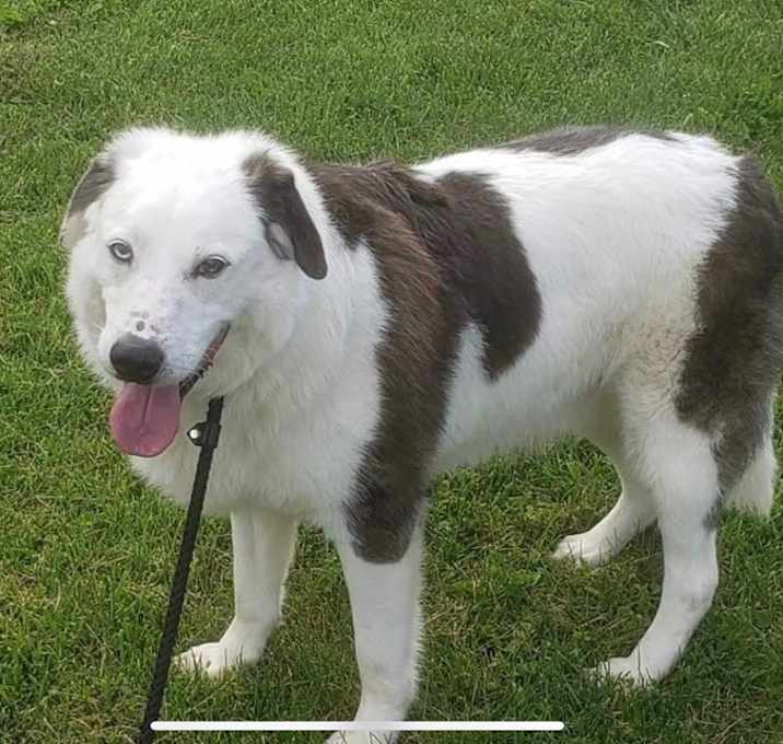 Photo of Rascal