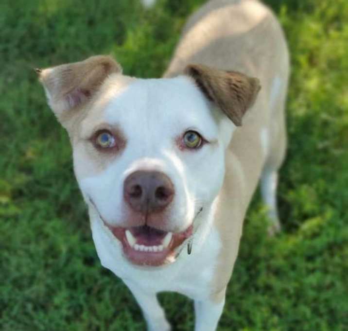 Photo of Poncho