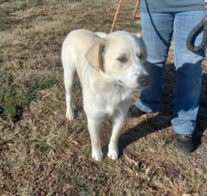 Photo of CASPER