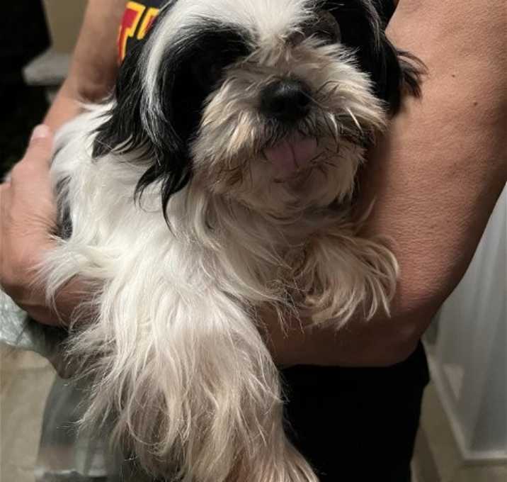 Photo of Luna