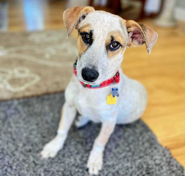 Photo of Pokey!