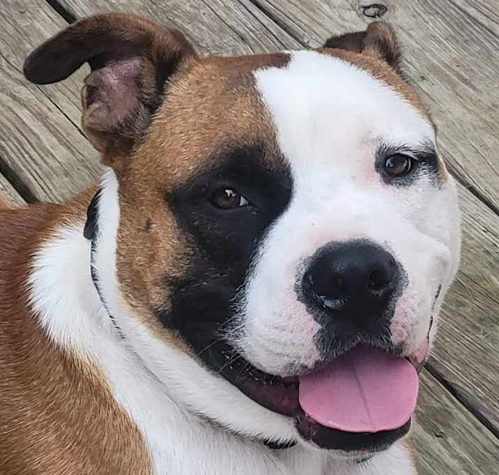 Photo of Stryker