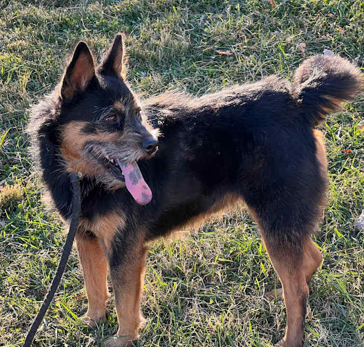 Photo of Britches