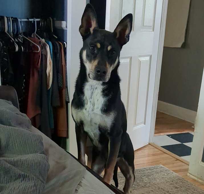Photo of Mortimer Octavius