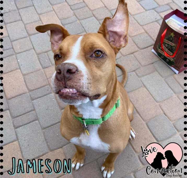 Photo of Jameson