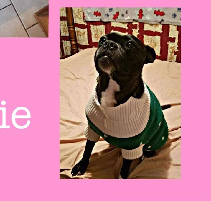Photo of Millie