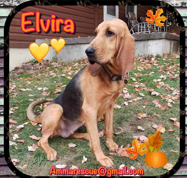 Photo of Elvira