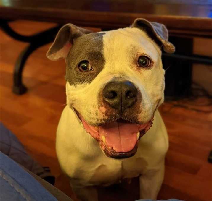 Photo of Layla