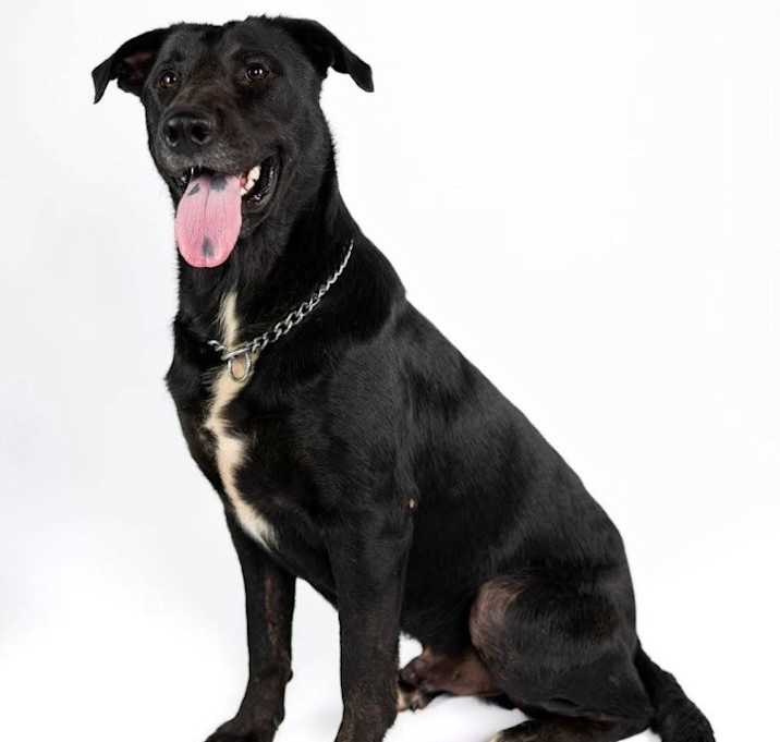 Photo of Sawyer