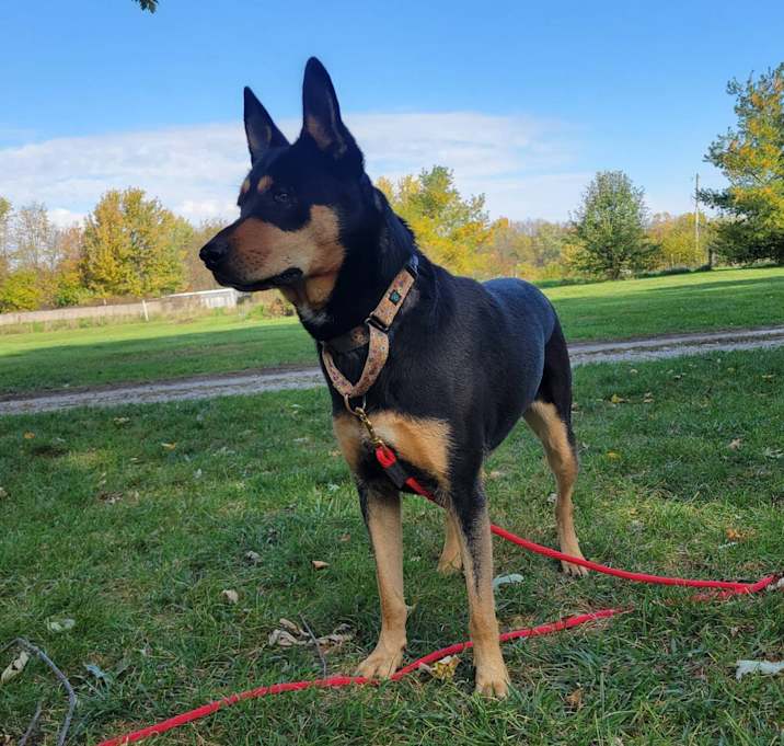 Photo of Missy