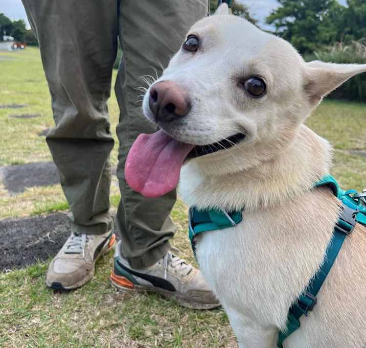 Photo of Buddy