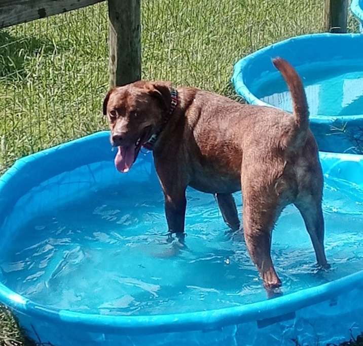 Photo of Asher