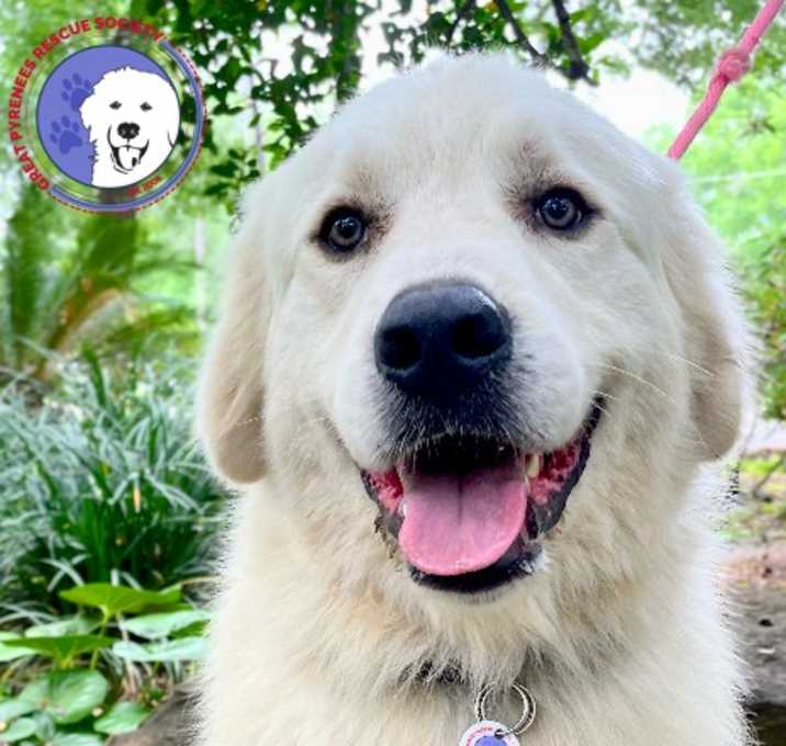 Photo of Murphy