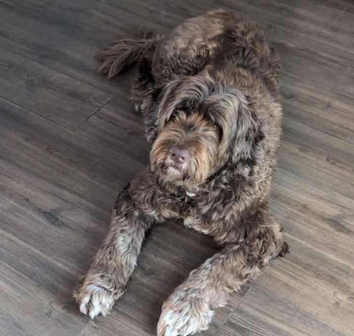 Photo of Carson