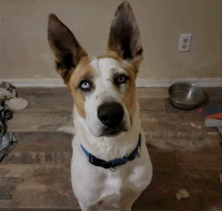 Photo of Trotter