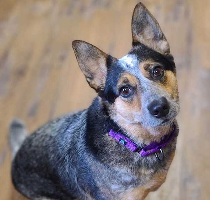 Photo of Nancy