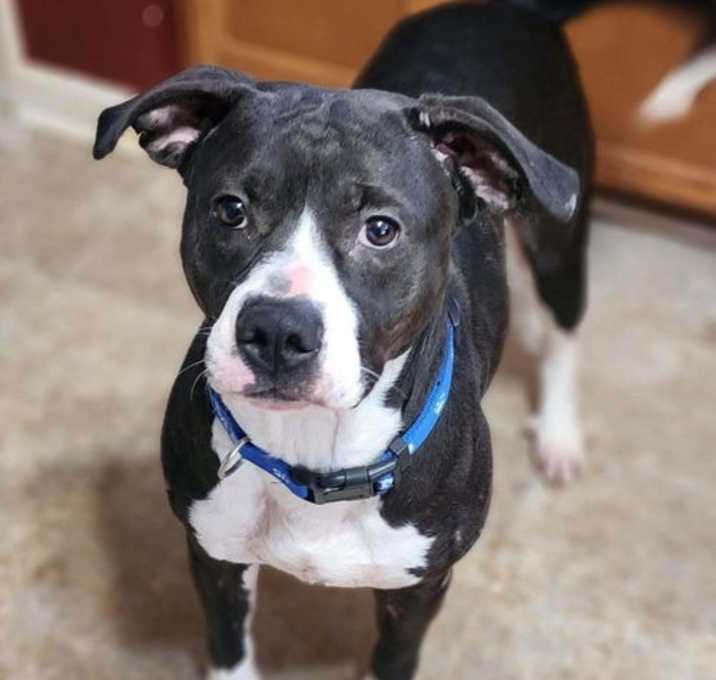 Photo of Tinkerbell