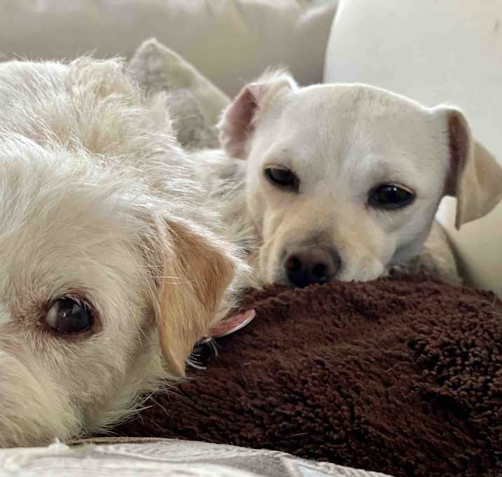 Photo of Mallory & Valerie