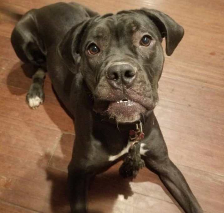 Photo of Penny
