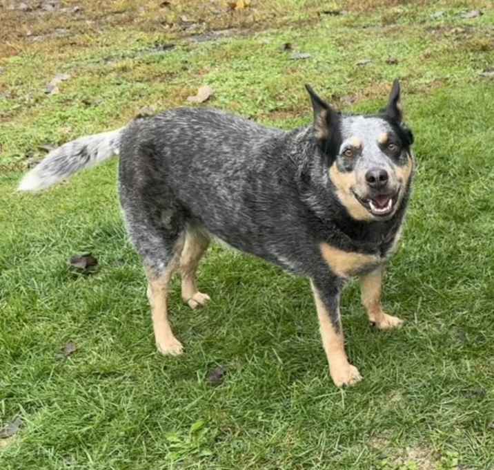 Photo of Lexi